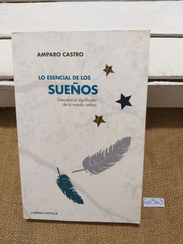 Amparo Castro / Lo Esencial De Los Sueños
