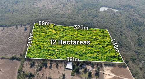 Imagen 8 de 12 de Terrenos En Venta La Lobita