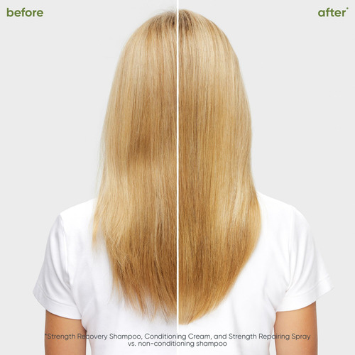 Shampoo Biolage Strength Recovery: Limpa Suavemente,