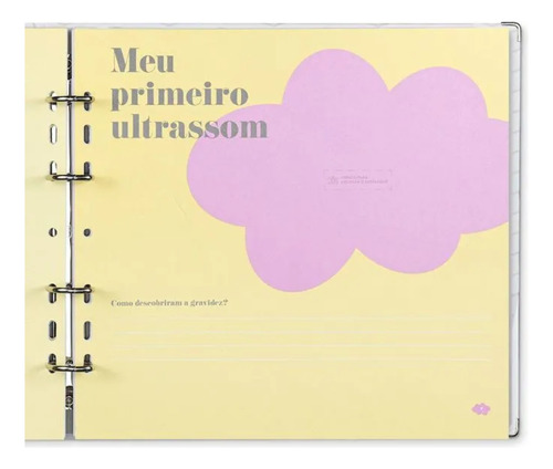 Livro Do Bebe 24 X 25,5 Coala Otima
