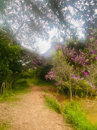 Imagem 4 de 14 de F16- Terrenos A Venda,com Ótima Vista
