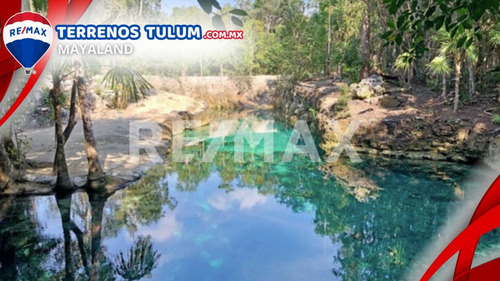 Cenote Con 17.5 Hectareas Con Frente De Carretera