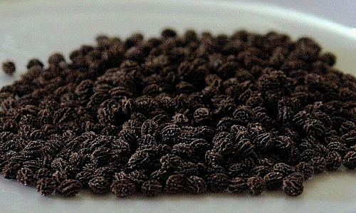2000 Semillas De Papaya Red Maradol F1 Hibrida Certificada