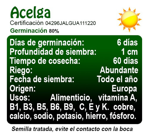 Acelga Verde 600 Semillas Para Siembra 10 Gr Var. Fordhook