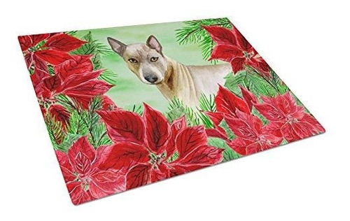 Caroline's Treasures Ck1328lcb Thai Ridgeback Poinsettas Tab