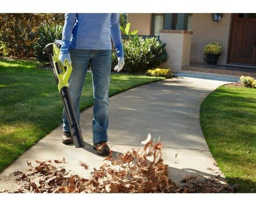 Combo Ryobi De Sopladora Y Desbrozadora 18v Ryobi P2036 (Usado)