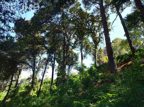 Imagen 3 de 5 de Terreno En Venta En San Cristóbal De Las Casas, Chiapas