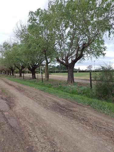 Imagen 3 de 9 de Lote En Venta- Importantes Medidas.