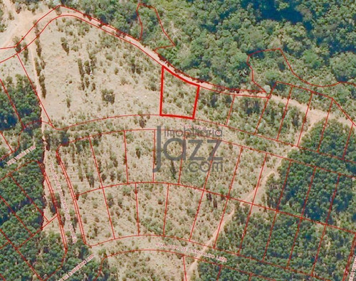Imagem 2 de 30 de Terreno Com Excelente Topografia - Te1080
