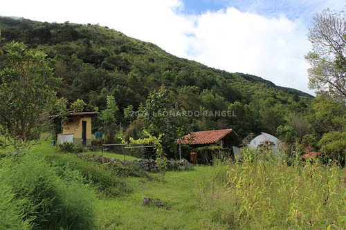 Se Vende Bella Finca De 10 Hectáreas Con Casa Colonial En Cacute Sector Santa Elena, Mérida.
