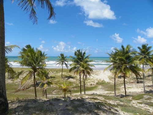 Imagem 13 de 19 de Terreno Frontais Ao Mar, Na Praia De Costa Azul, Litoral Norte Da Bahia - Ar386