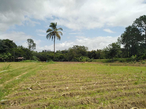 Vendo Amplio Terreno En Jarabacoa, Con Río 