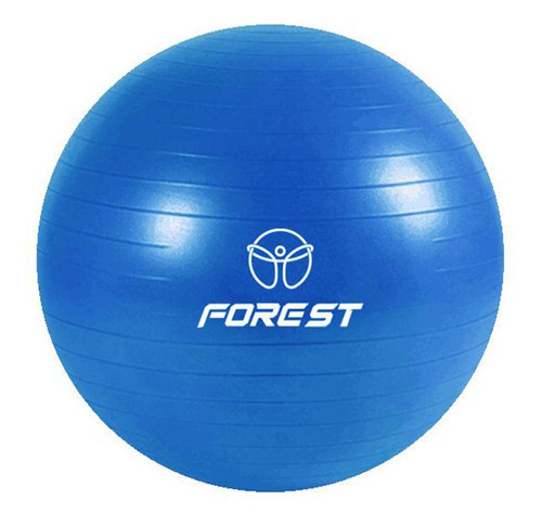 Pelota Yoga Ball Forest Fitness Esferodinamia 75 Cm Gym Color Azul