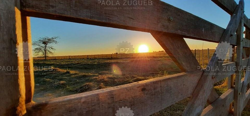 Imagen 13 de 20 de Terreno Emp. Rural En Venta Ubicado En San Vicente, G.b.a. Zona Sur