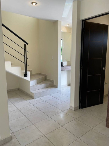 Imagen 13 de 23 de Casa En Renta Puerta Piedra