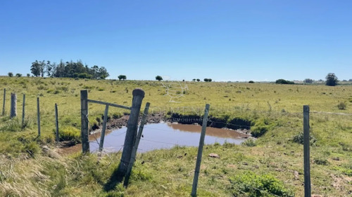 Campo En San Carlos,