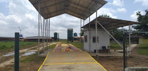 Imagen 9 de 13 de Finca En Venta El Tejero