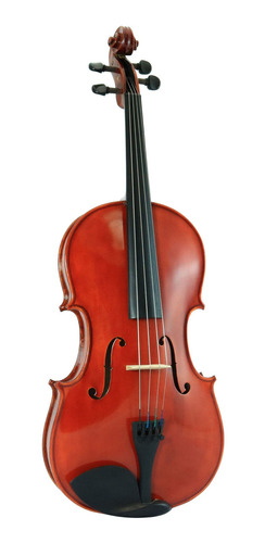 Viola 16'' Outfit Series Orchestral D'luca