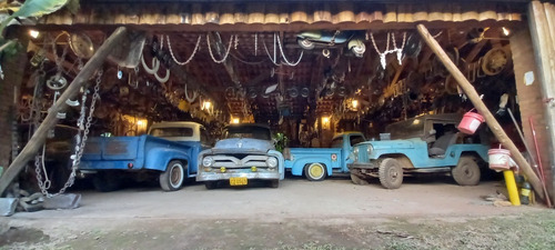 Ford F100 1955