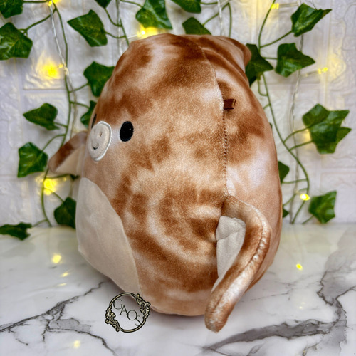 Squishmallows Dinosaurio Sin Etiqueta Peluche 8in Jazwares