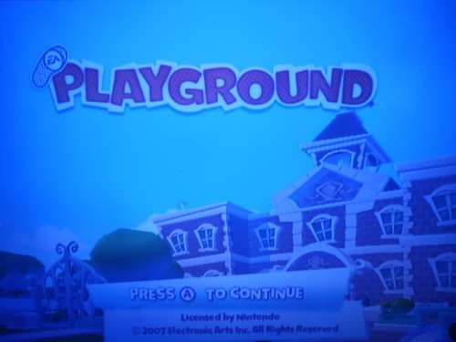 Playground Nintendo Wii Original Físico Solo Disco (Usado)