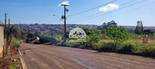 Imagem 1 de 11 de Terreno À Venda, Morumbi - Cascavel/pr - 13921