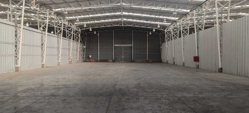 Bodega C: 540 M2 (100880)