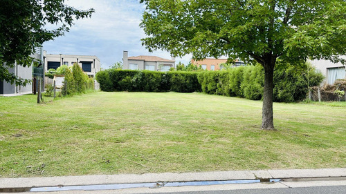 Ultimo Lote Interno Central