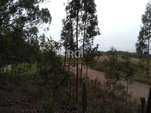 Terreno Em Primeiro Distrito - El56353457