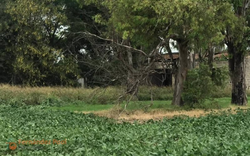 Imagen 18 de 23 de Oportunidad Campo En Zavalla