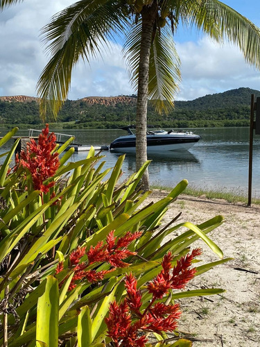 Imagem 10 de 29 de Casa Com 6 Quartos, 60000m2, À Venda - Centro - Saubara - Ilha-2