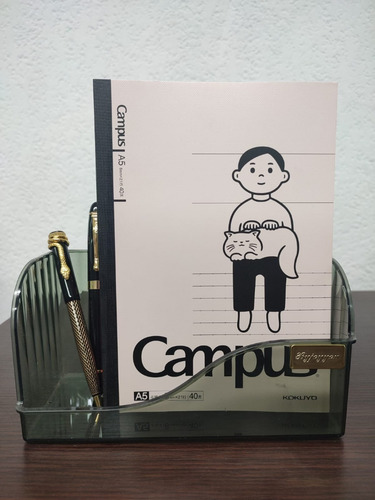 Caja Organizadora De Plástico Para Oficina Hogar Color Verde