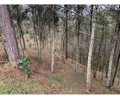 Lote En Venta En El Retiro Sector Lejos Del Nido