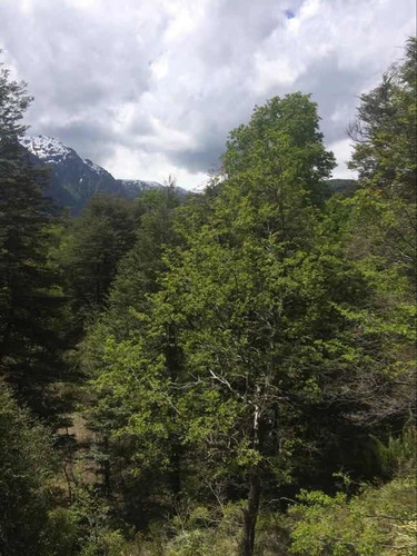Hermoso Terreno Ubicado En El Valle De Las Trancas