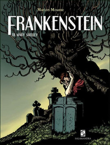 Frankenstein, de Shelley, Mary. Editora SALAMANDRA, capa mole