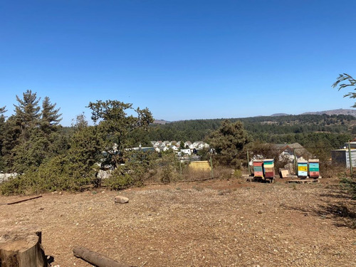 Terreno En Loteo Los Pinos, Reñaca