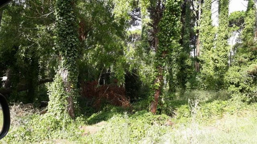 Imagen 1 de 9 de Terreno Con Proyecto En Carilo