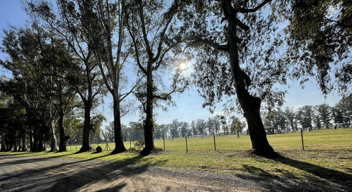 Imagen 8 de 30 de Venta Terreno Barrio Estribo Club De Campo Los Tres Pinos General Rodriguez