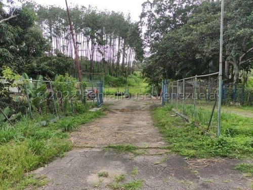 Imagen 6 de 20 de Finca Avicola En Venta Bejuma Carabobo