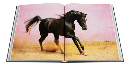 The Arabian Horse / Pd., De Boiselle, Gabrielle. Editorial Konemann, Tapa Dura, Edición 01 En Inglés, 2024
