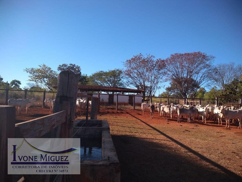 Imagem 11 de 15 de Fazenda Em Centro - Engenheiro Navarro - 2969