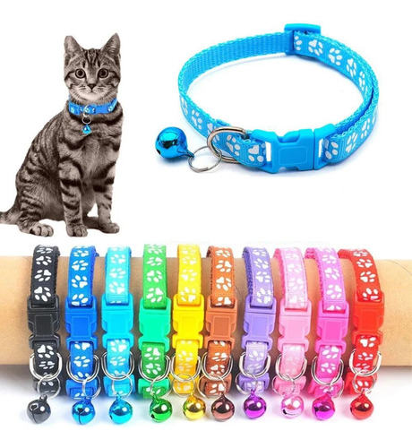 Collares Mascota Cachorros Identificadores Camadas Set 12pcs