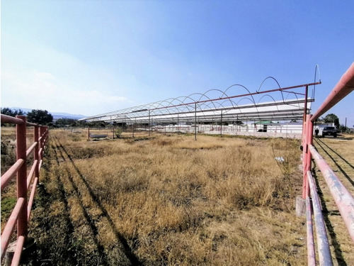 Rancho En Acatlán, Hidalgo (producción Ganadera Y De Queso).