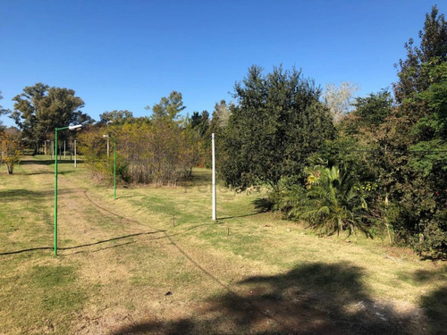 Imagen 4 de 10 de 407 Entre 19 Y 21 . Lotes En Venta Barrio Privado Las Alondras , Villa Elisa.-