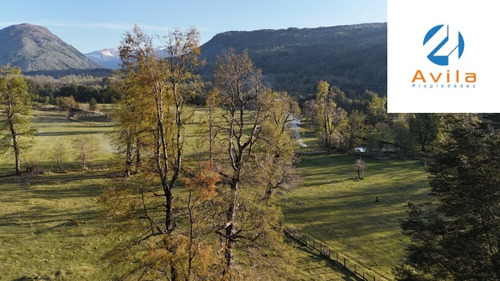 Pucón Palguin Alto Parcela Con 2 Cabañas- 1 Ha Cod.vtap193