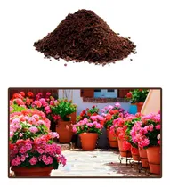 Comprar Tierra Preparada, Saco De 25 Kg \u002F Para Nutrientes De Flores