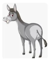 Comprar Burros Burras