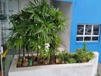 Imagem 21 de 30 de Apartamento Para Venda No Bairro Assunção Em São Bernardo Do Campo - 5187