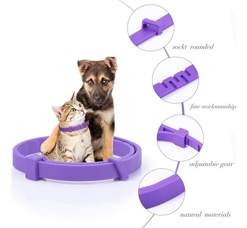 Collar Calmante De Feromona Para Gatos Con 2 Campanas