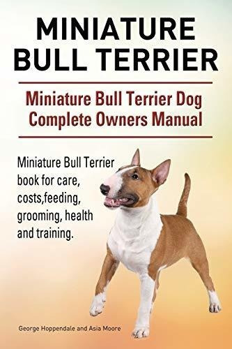 Miniature Bull Terrier. Miniature Bull Terrier Dog..